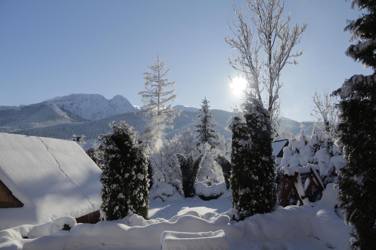 Pokoje Goscinne Pod Giewontem Zakopane Ngoại thất bức ảnh